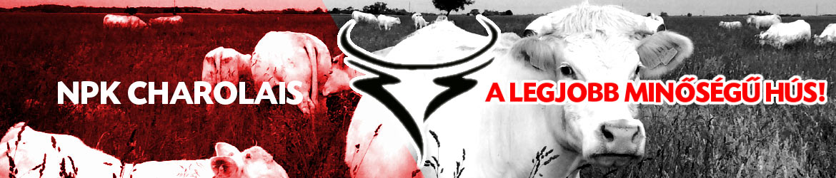 NPK Charolais